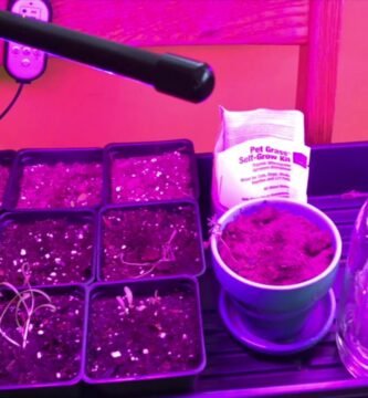 ¿Cómo ajustar las luces de cultivo según el crecimiento de las plantas?