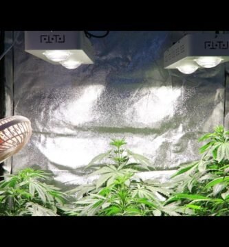 ¿Cómo asegurar la ventilación adecuada para luces de cultivo?