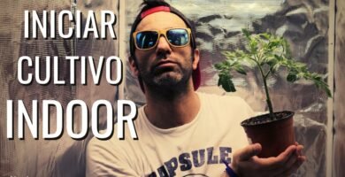 ¿Cómo instalar luces de cultivo en un armario de cultivo?