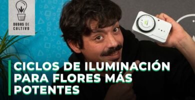 ¿Cómo saber cuándo cambiar las luces de cultivo?