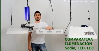 ¿Cómo utilizar reflectores con luces de cultivo?