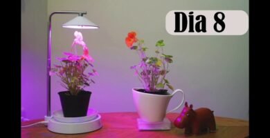 ¿Qué beneficios tiene la luz de espectro completo para las plantas?