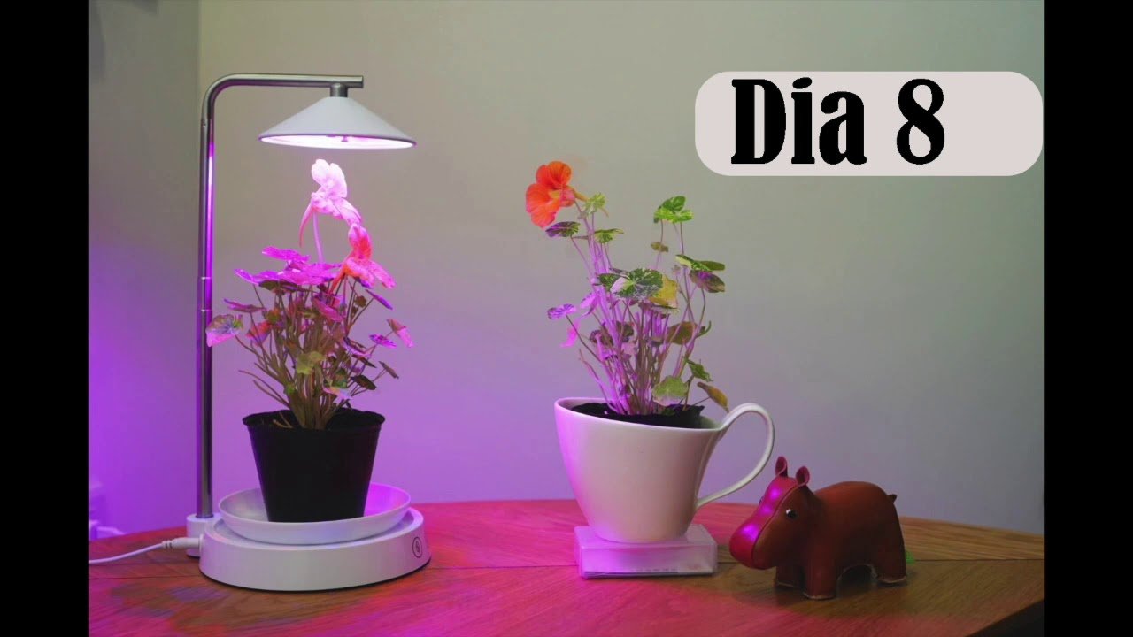 ¿Qué beneficios tiene la luz de espectro completo para las plantas?