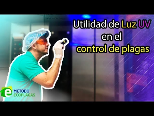 ¿Qué beneficios tienen las luces LED en el control de plagas?