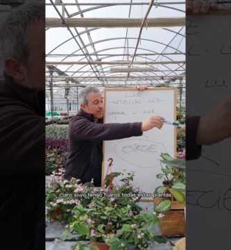¿Qué hacer si una luz de cultivo LED deja de funcionar?