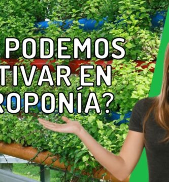 ¿Qué tipo de luz se usa para el cultivo hidropónico?