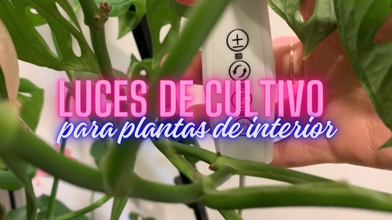 ¿Qué tipo de luz se usa para el cultivo vertical?