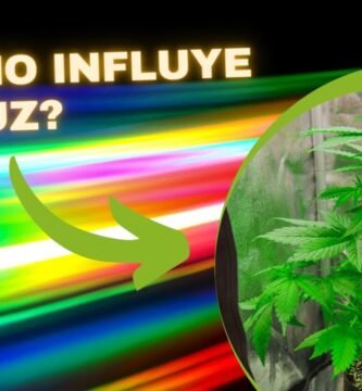¿Qué ventajas tienen las luces de cultivo programables?